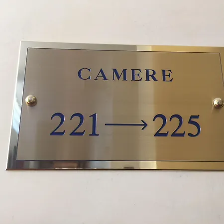 酒店 特里酒店 3*